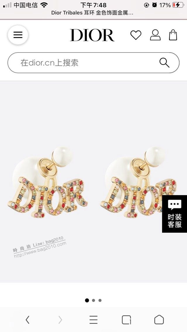 Dior飾品 2021新款DIOR迪奧字母耳釘耳環  zgd1197